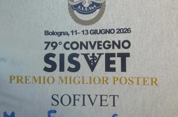 convegno bologna